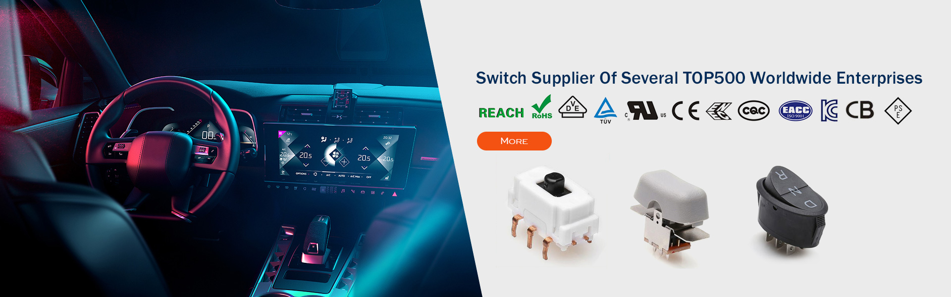 switch supplier of several Top500 worldwide enterprises